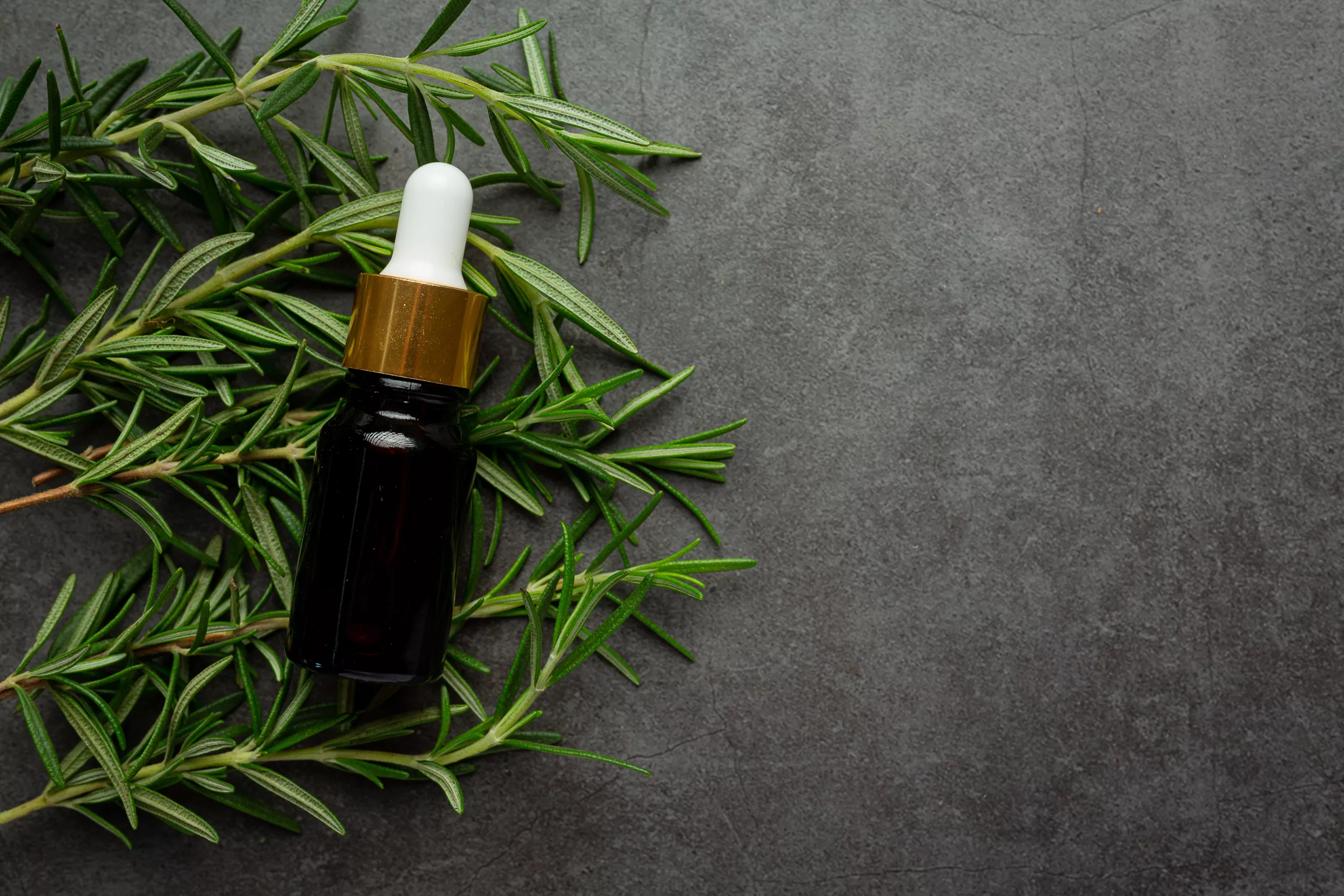 huile-de-romarin-en-bouteille-avec-des-plantes-de-romarin